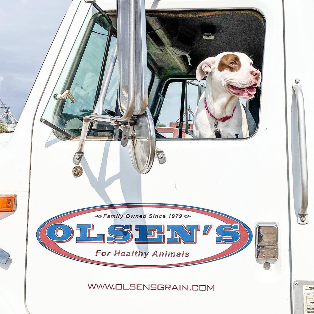 Olsen's Grain Inc