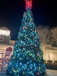 Tanger Rehoboth Beach - Seaside