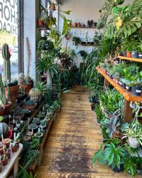 Plant Shop Chicago