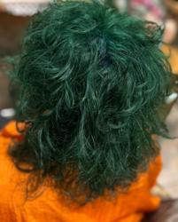 Amaryllis hair