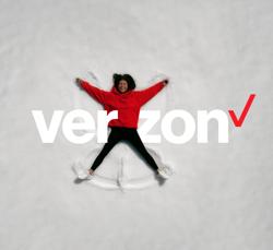 Verizon Business Services