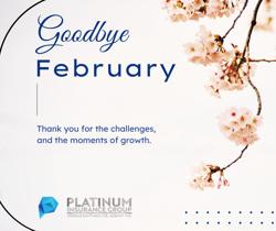 Platinum Insurance Group