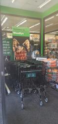 Pet Supplies Plus Woodlyn