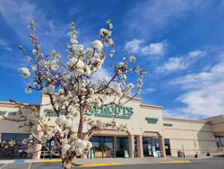 Sprouts Farmers Market