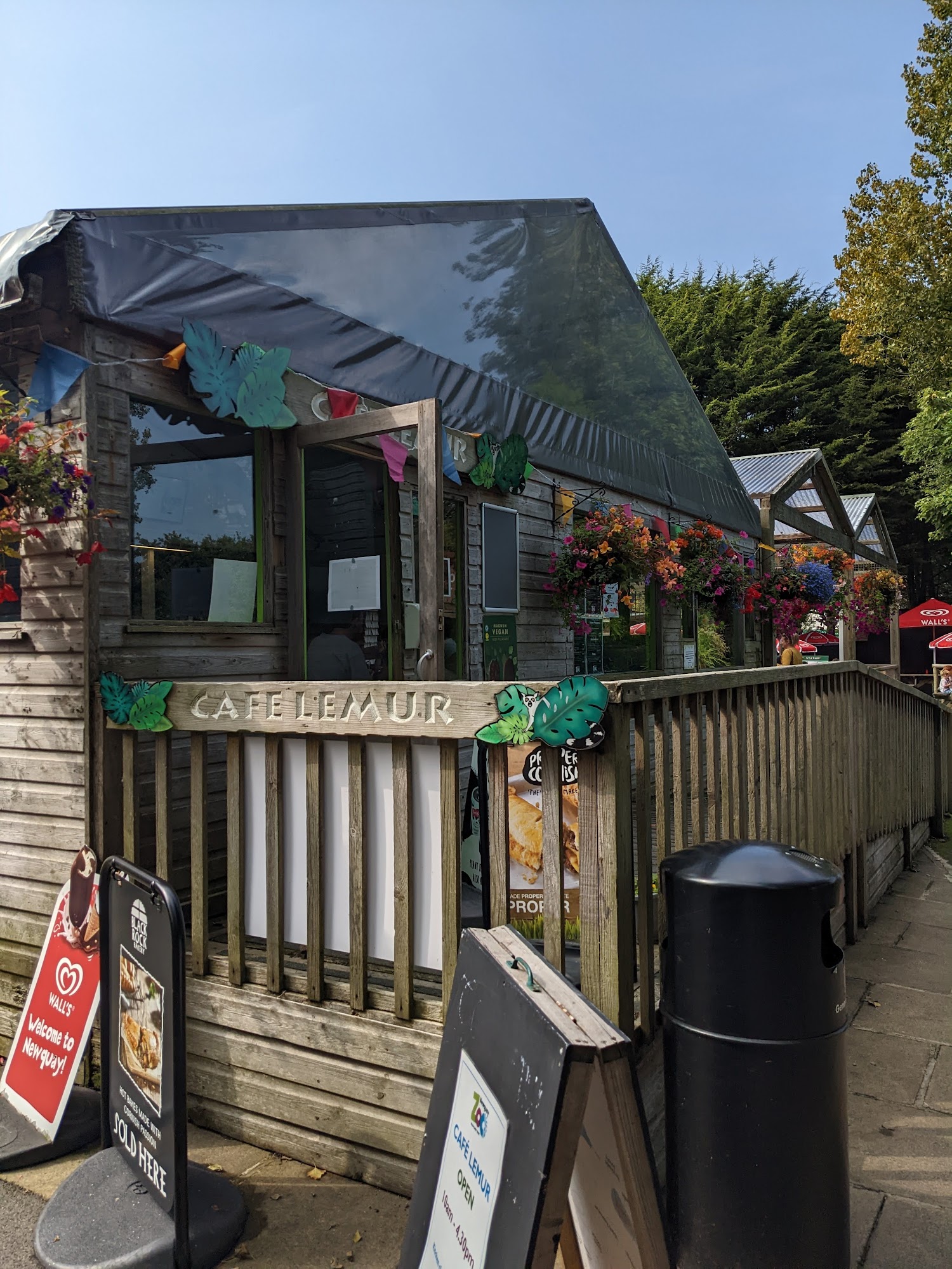 Cafe Lemur