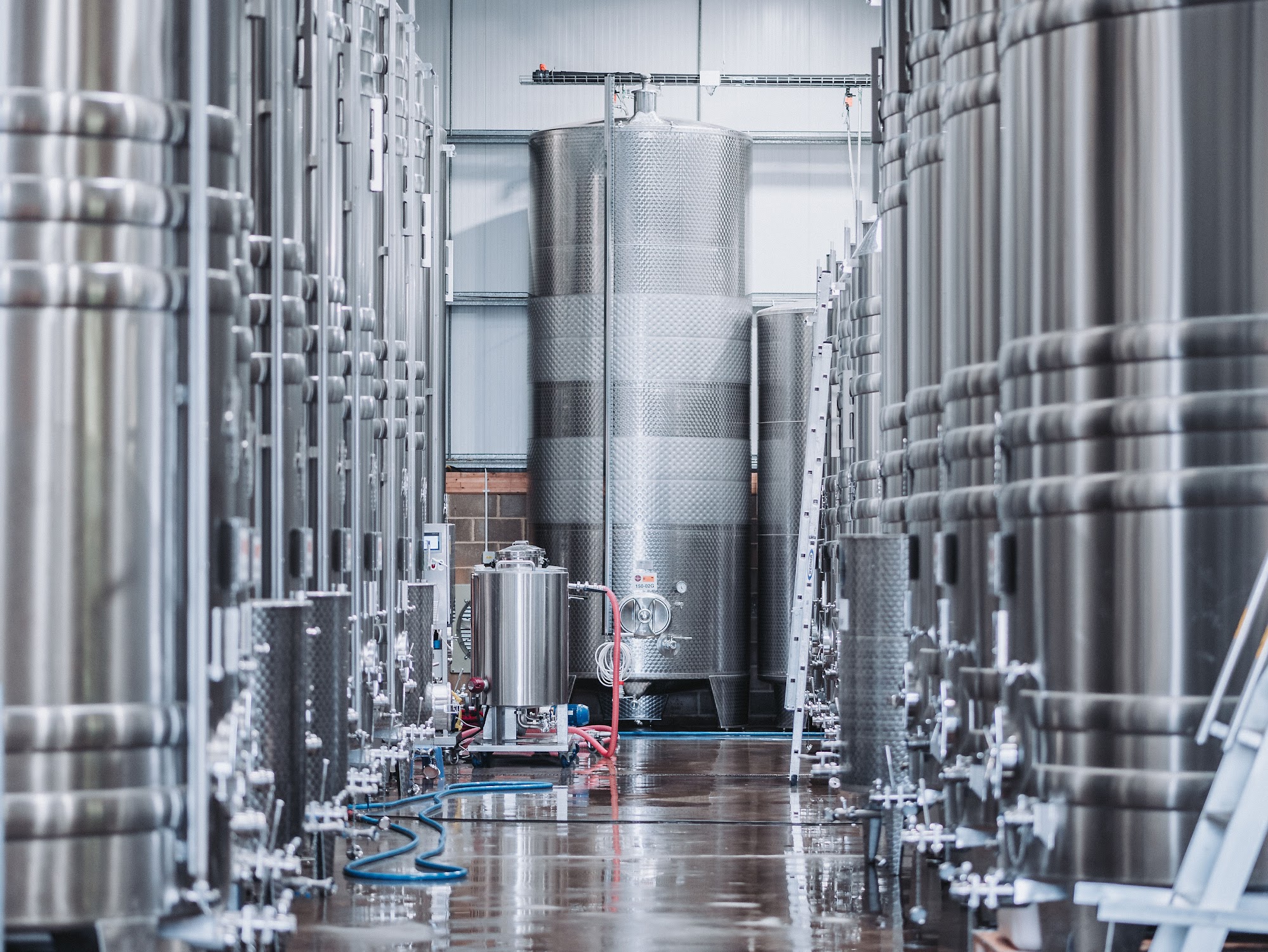 Defined Wine Ltd