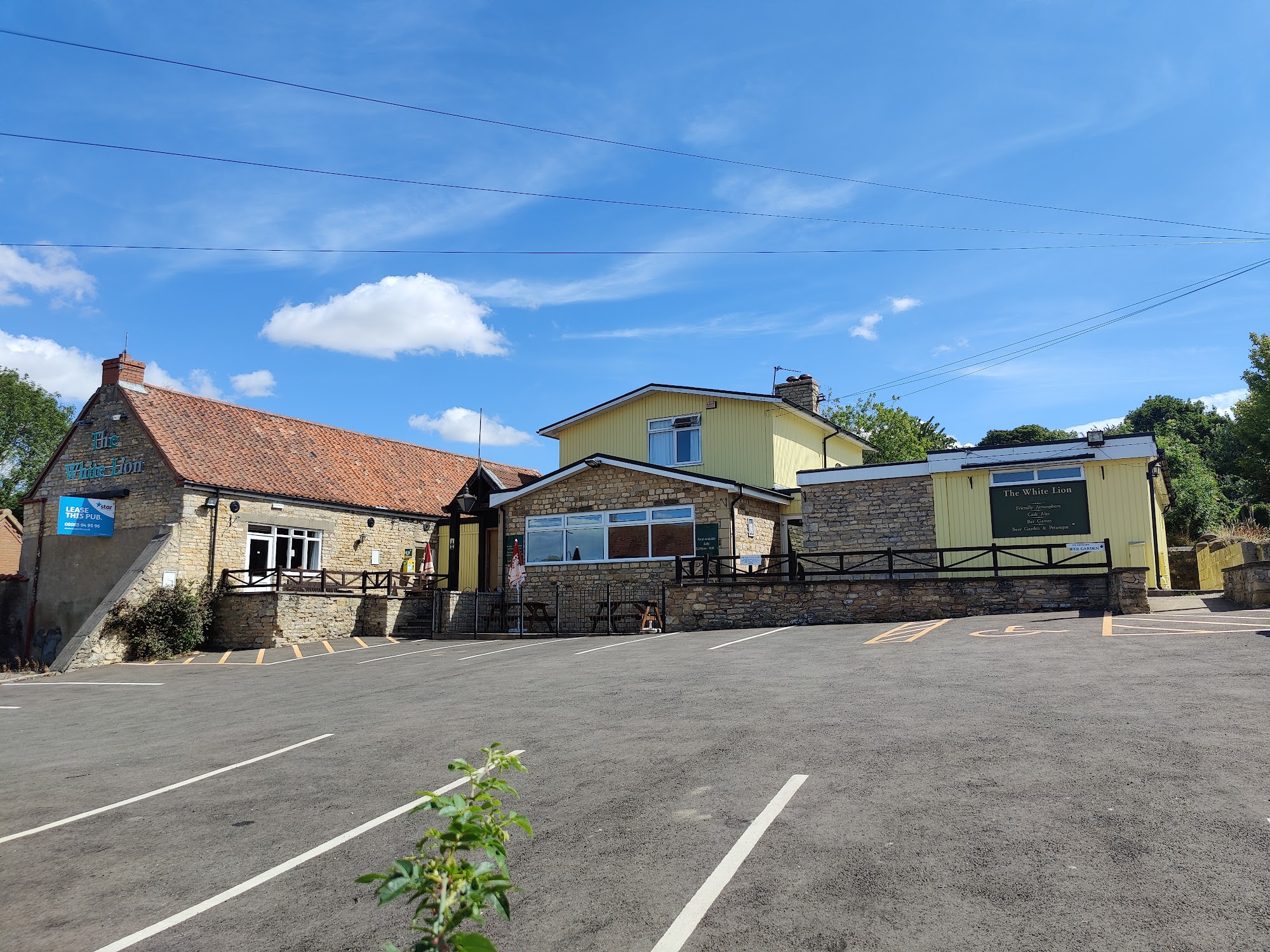 The White Lion