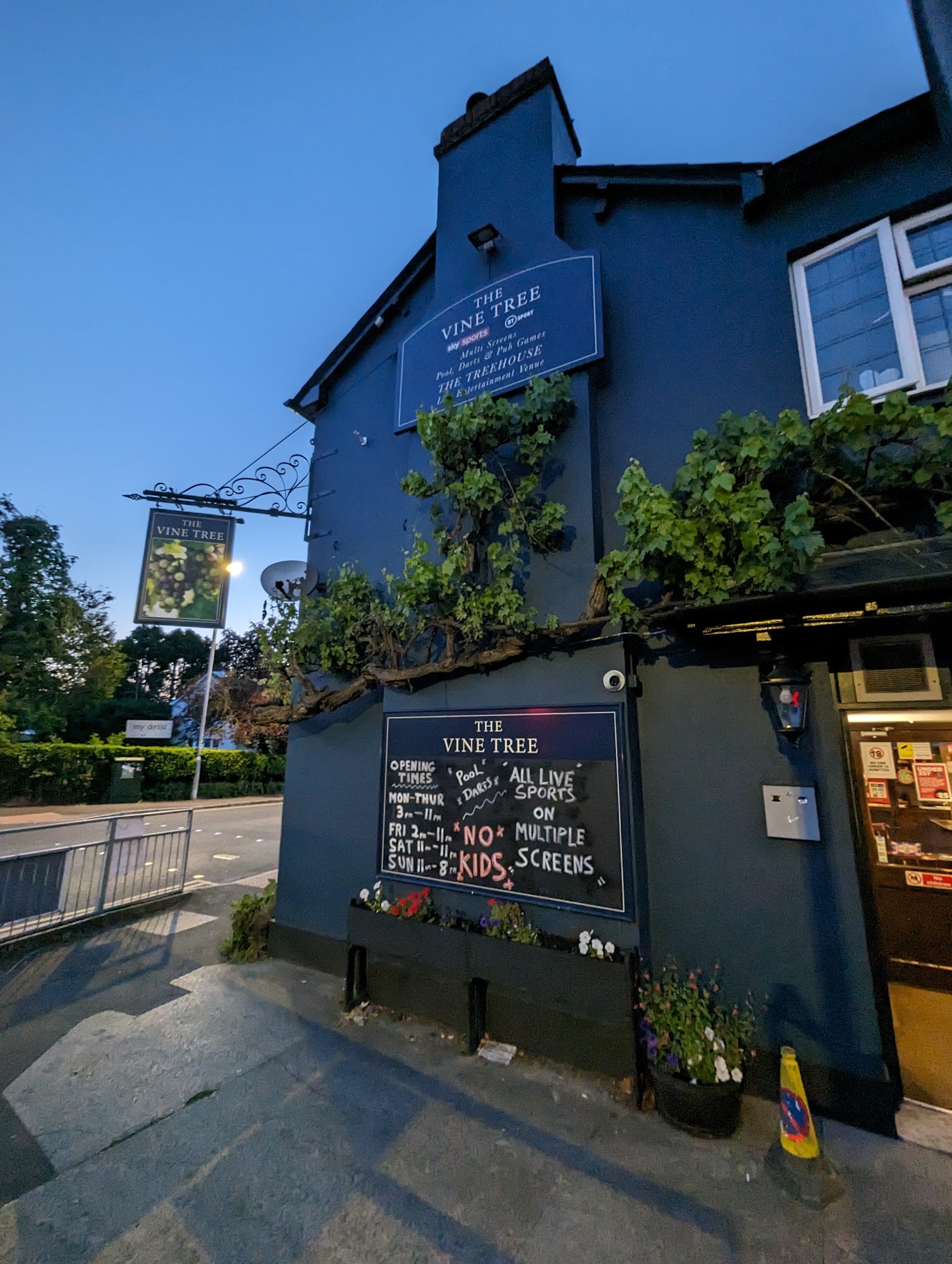 The Vine Tree & The Tree House