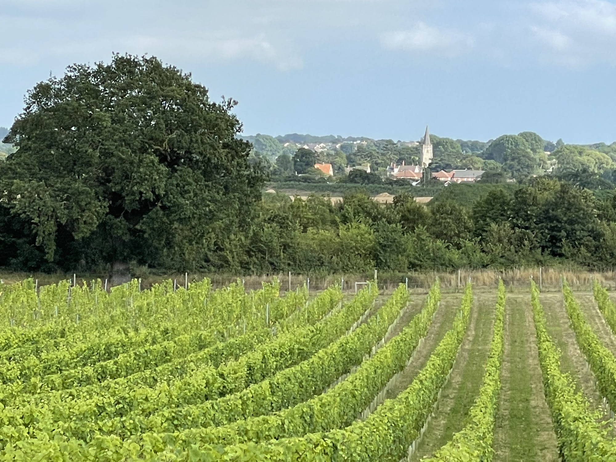 Flint Vineyard
