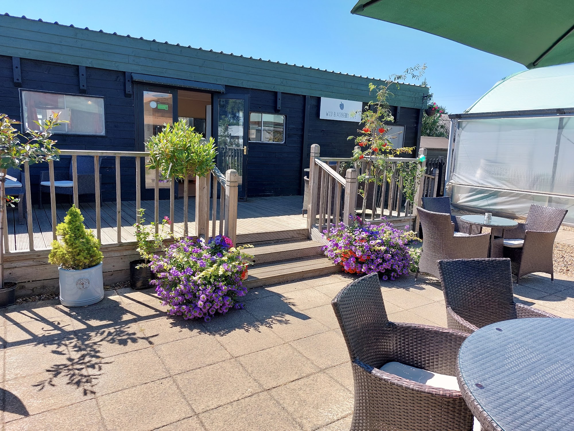 Wild Blackberry Cafe