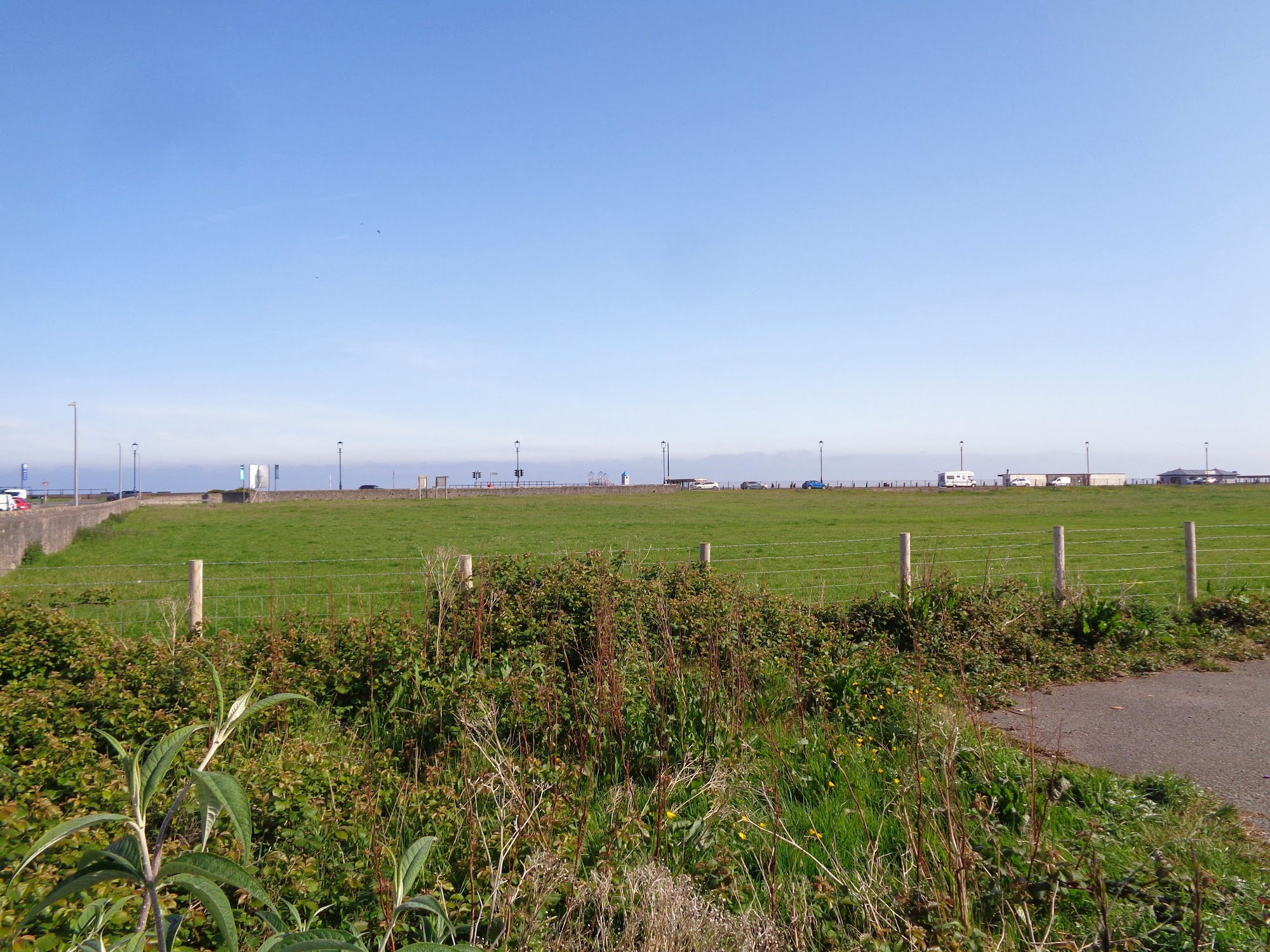 Bodafon Fields
