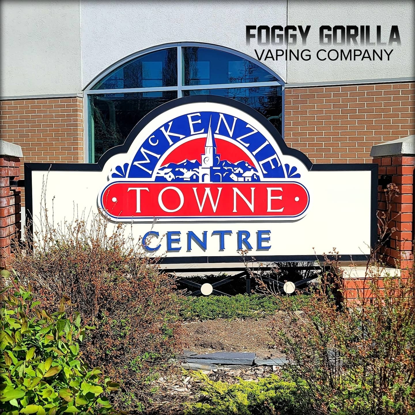 Foggy Gorilla Vape Shop | McKenzie Towne