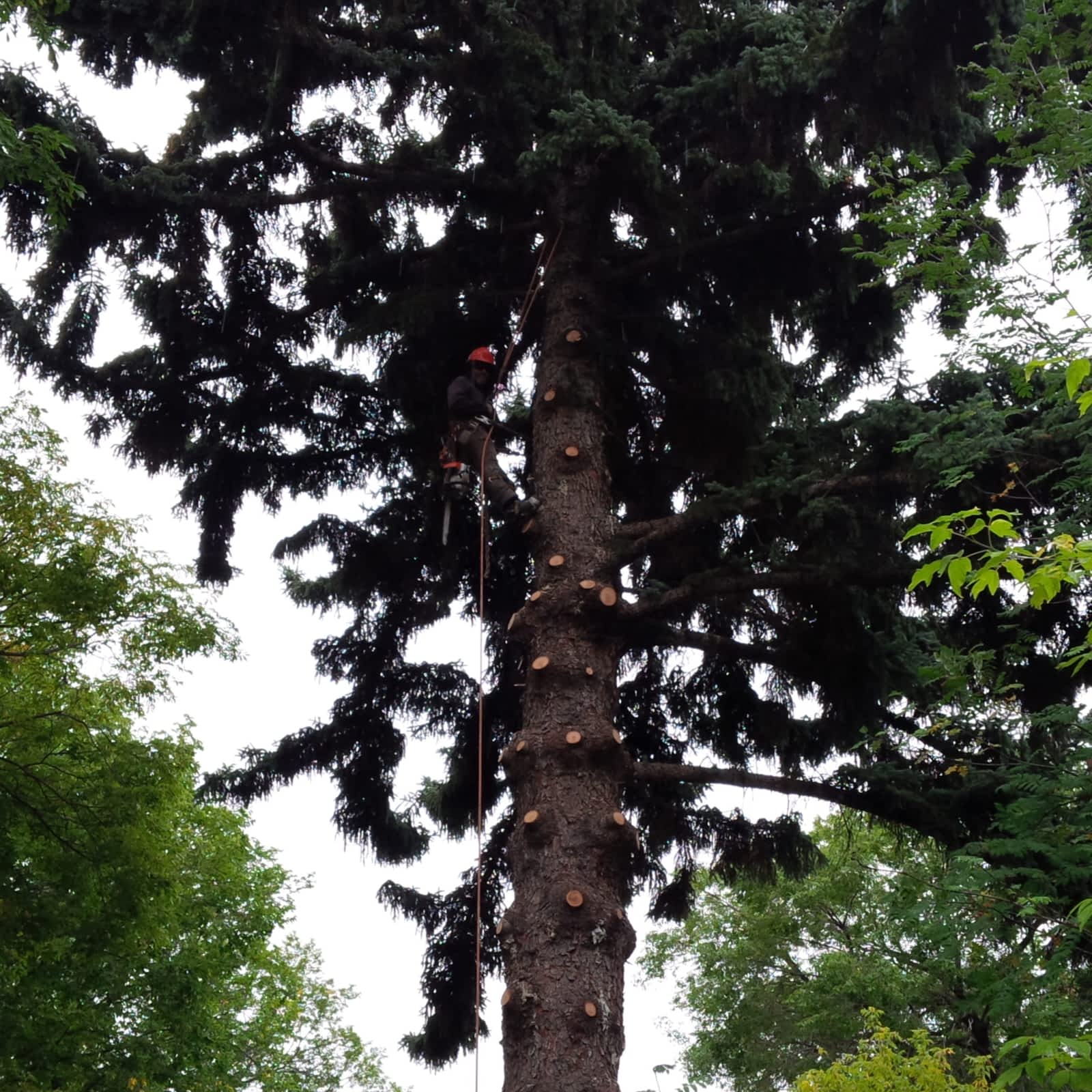 Photo credit: yellowpages.ca