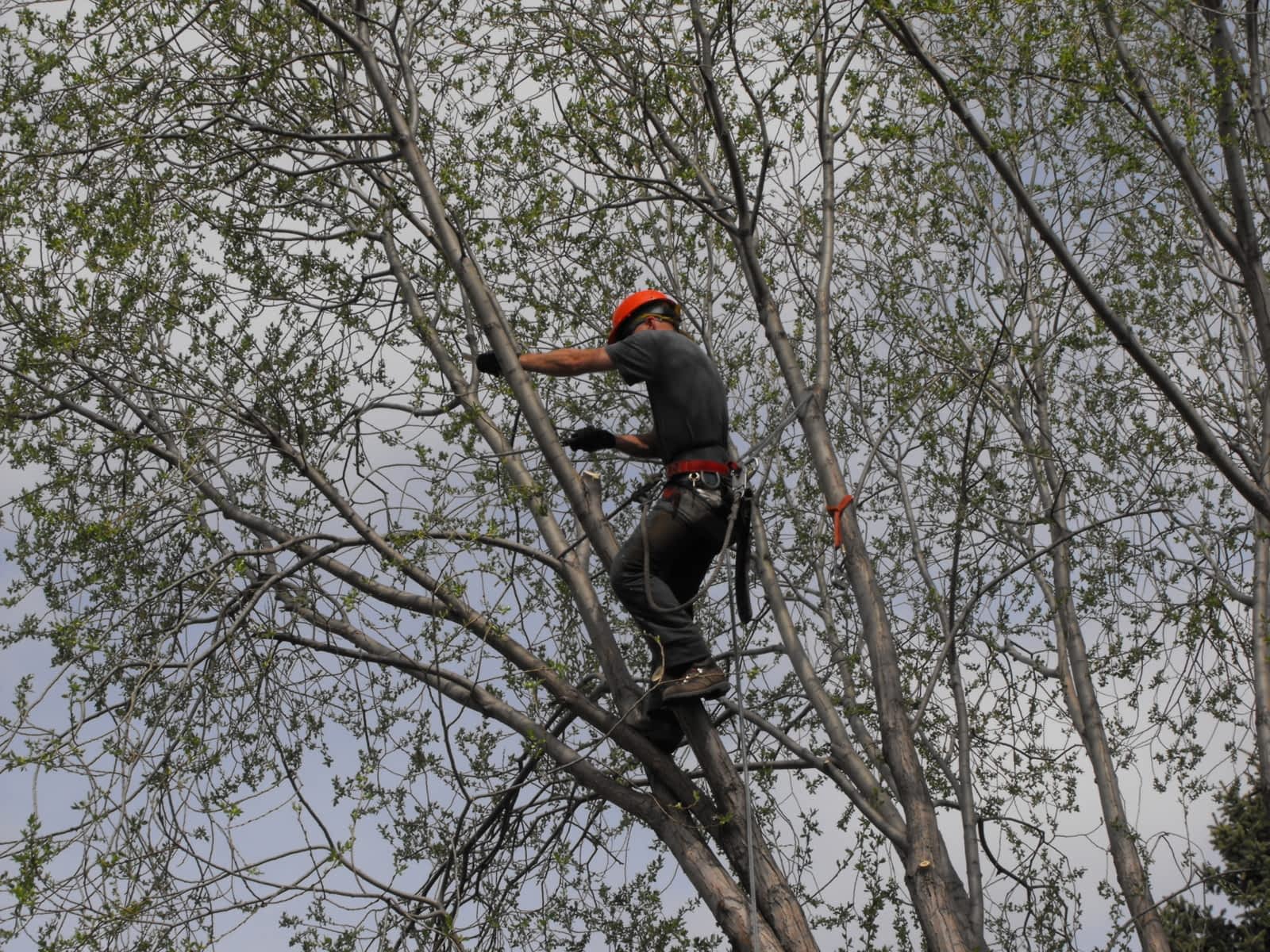 Photo credit: yellowpages.ca