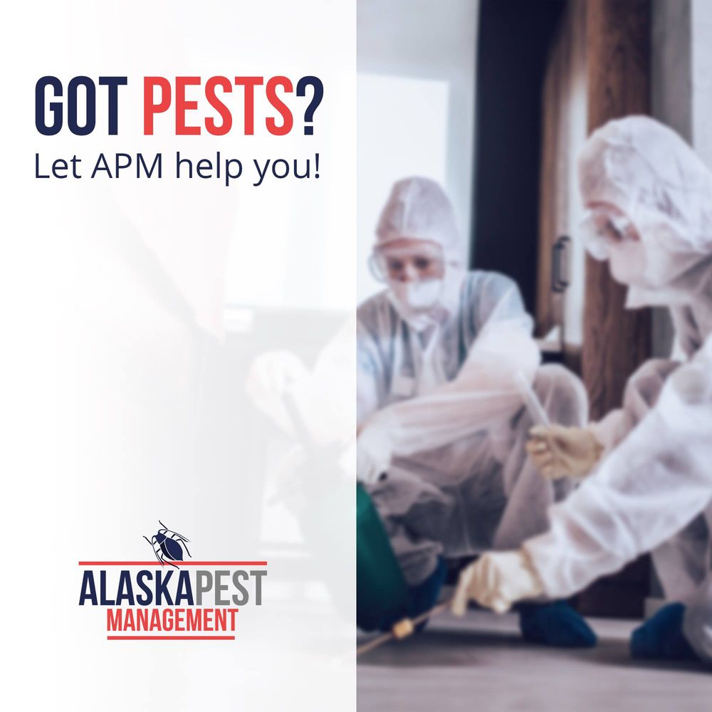 Alaska Pest Management Inc 4033 Tongass Ave #200, Ketchikan Alaska 99901