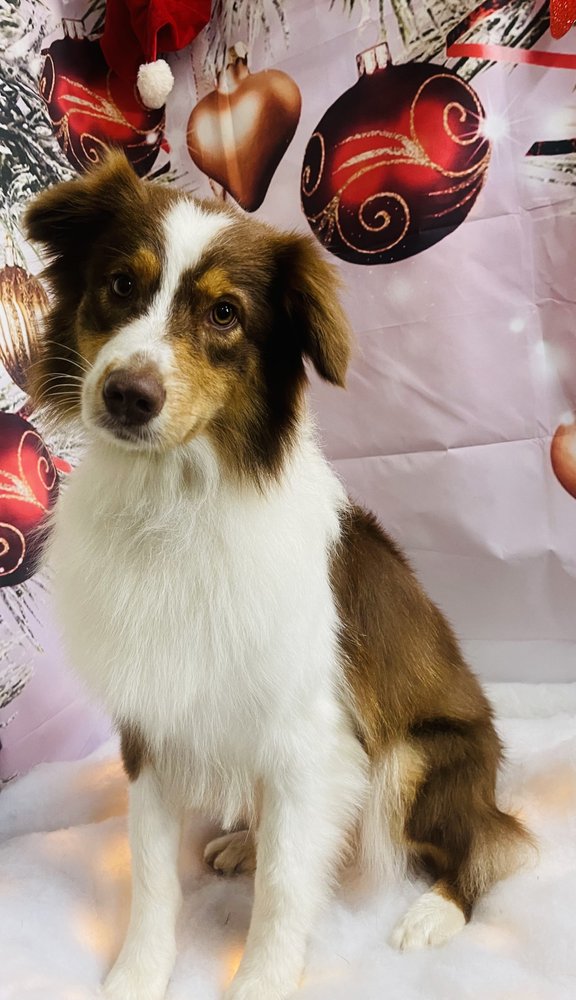 Photo credit: 