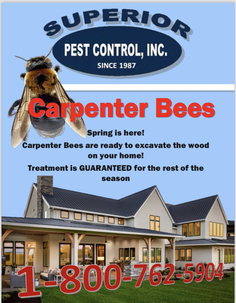 Superior Pest Control Inc Ashland Alabama 36251