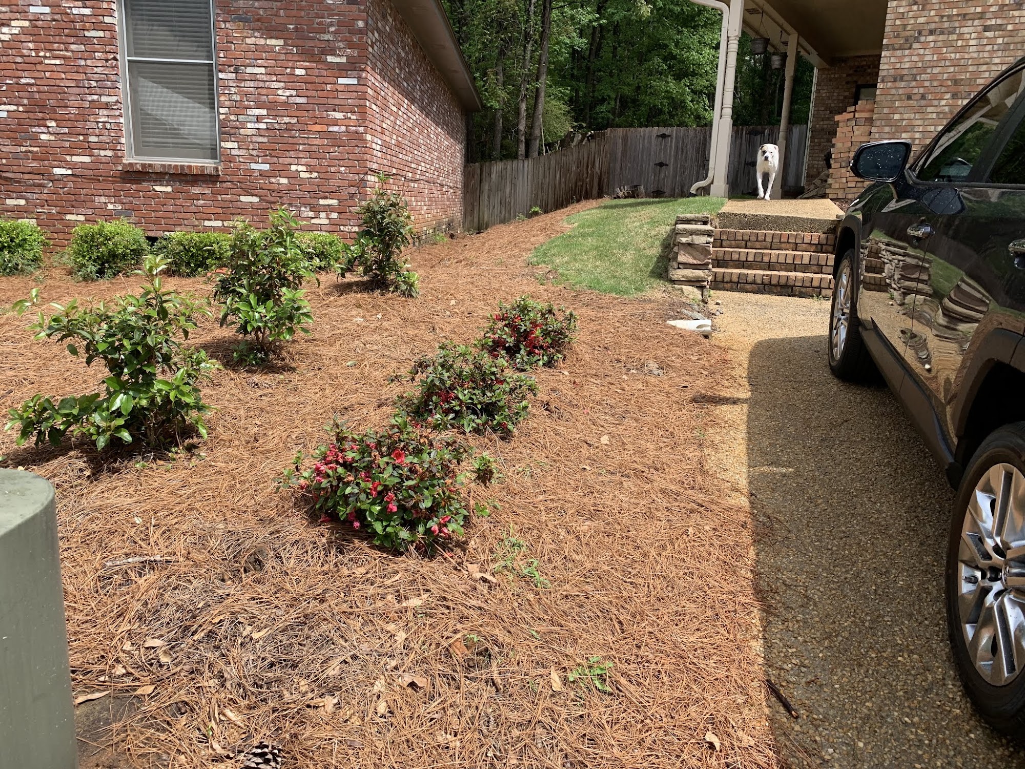 Four Seasons Landscaping-Lawn Services