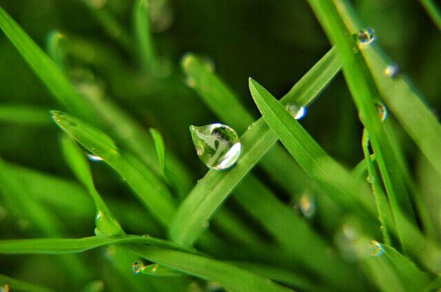 Cut Right Lawn & Landscape