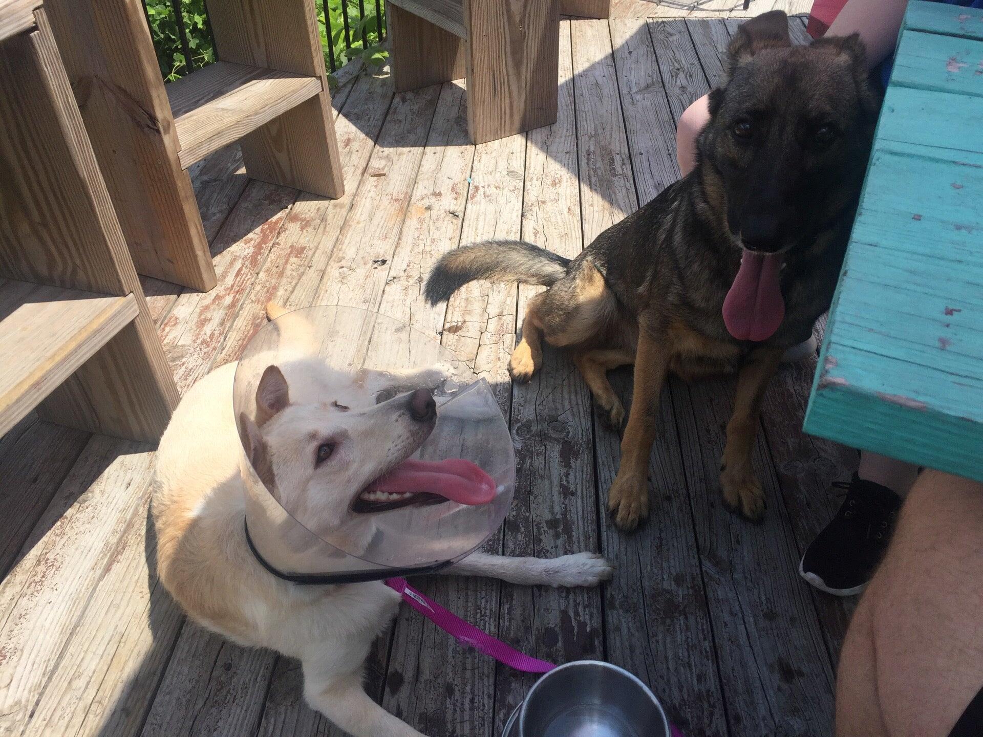 Photo credit: nextdoor