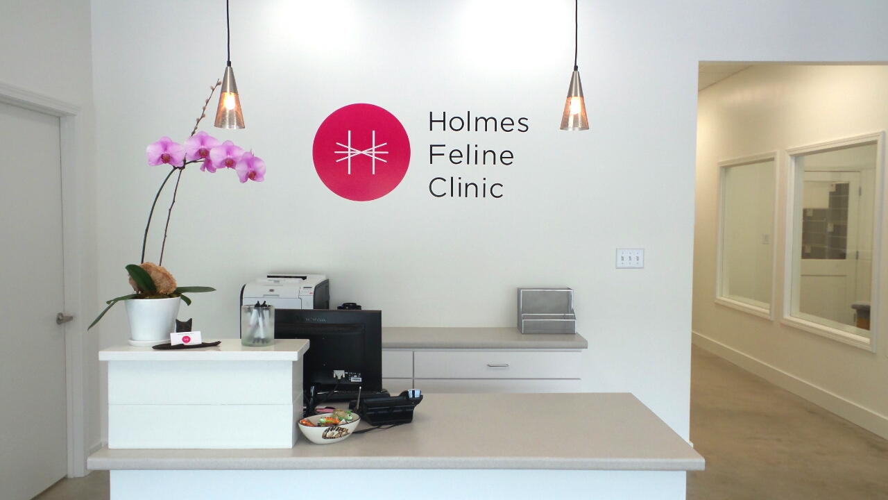 Holmes Feline Clinic