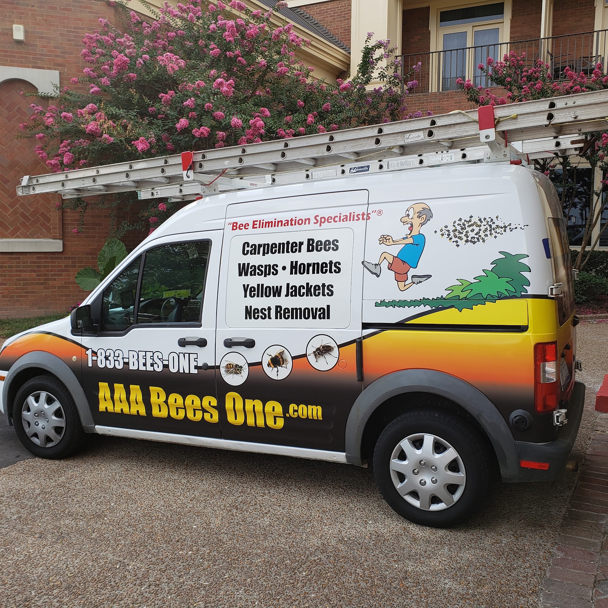 AAA Bees One, Carpenter Bee Service, Hornets and Wasp Nest Removal