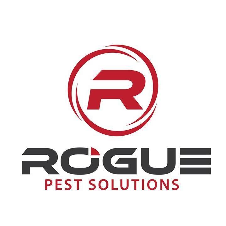 Rogue Pest Solutions 84 Coy Dr, Chelsea Alabama 35043