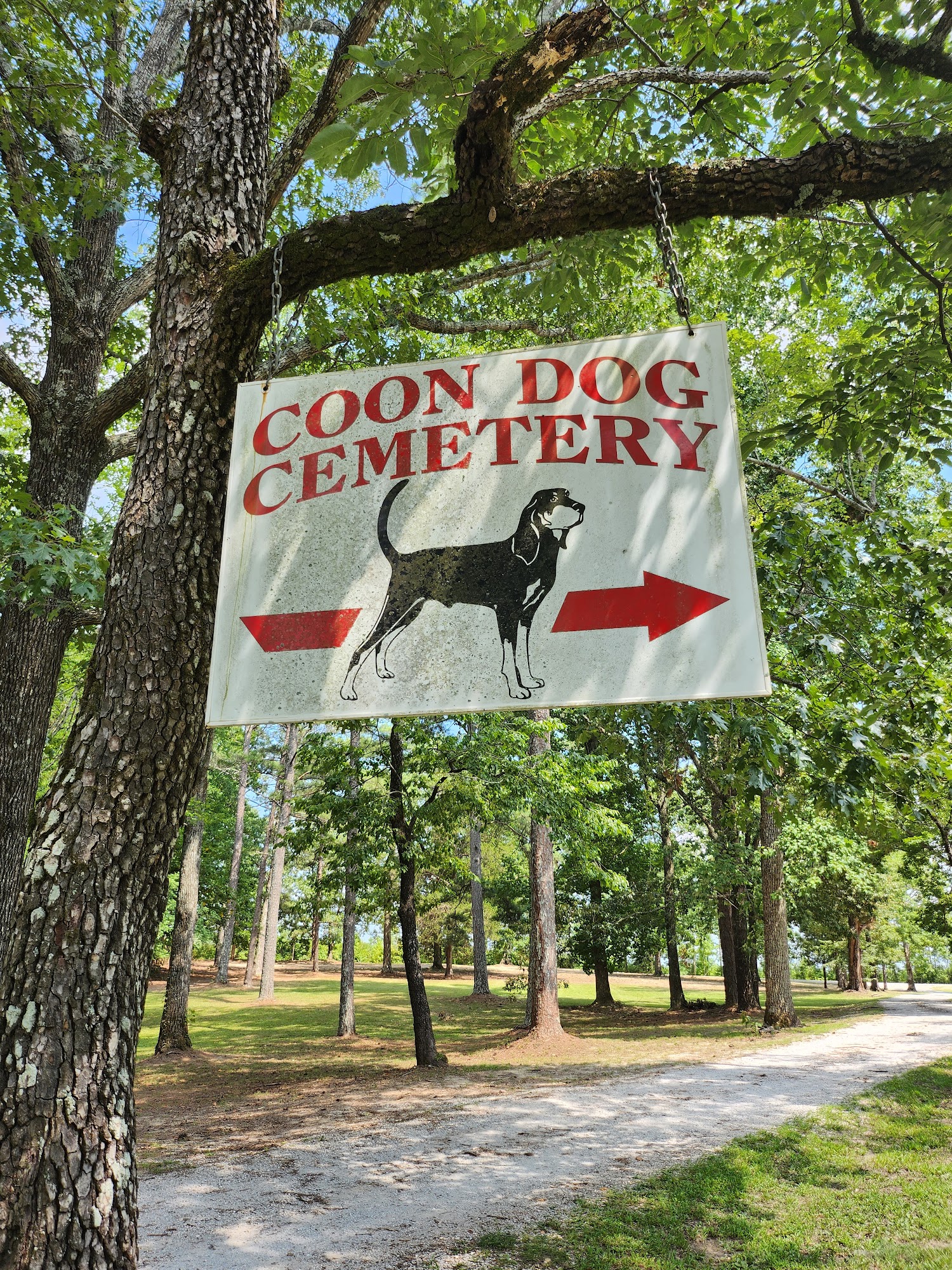 Coon Dog Cemetery 4945 Coondog Cemetery Rd, Cherokee Alabama 35616
