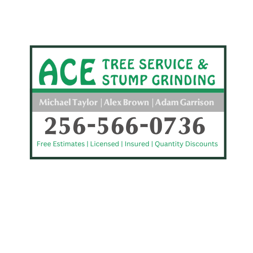 ACE Tree Service and Stump Grinding