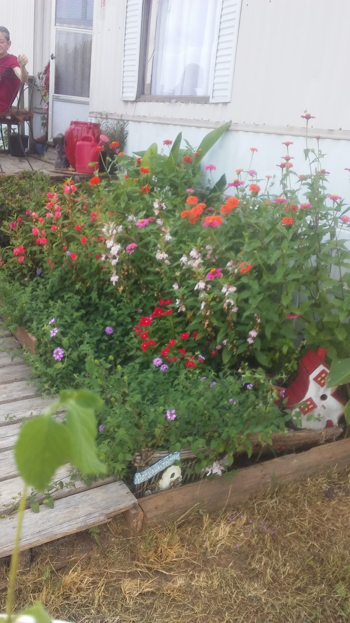 Janette Country Clip & Pet Elkmont