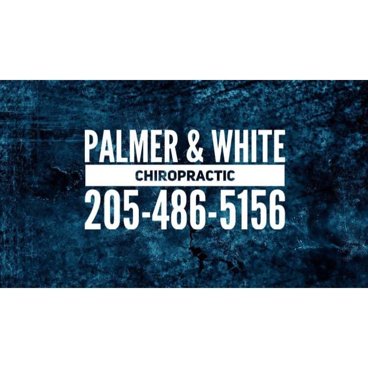 Palmer and White Chiropractic LLC 42431 AL-195, Haleyville Alabama 35565