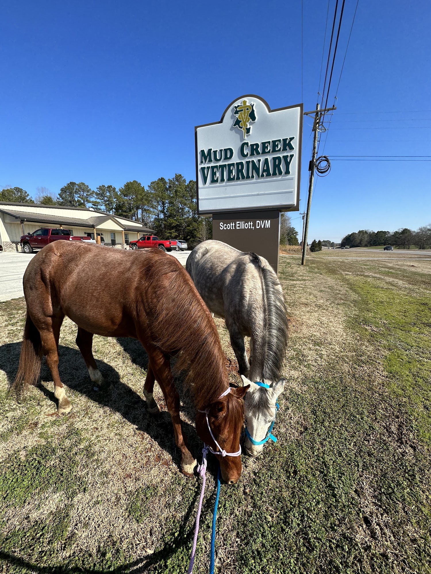 Mud Creek Veterinary Services 29796 US-72, Hollywood Alabama 35752