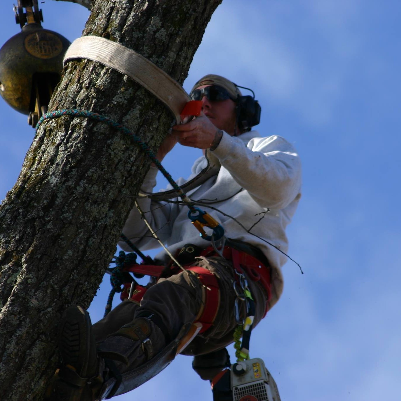 A Better Way Tree Service 62 Airport Rd, Laceys Spring Alabama 35754