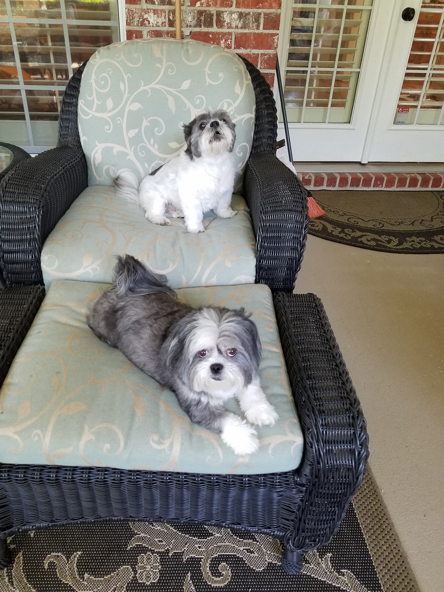 Bow-Wow Boutique Mobile