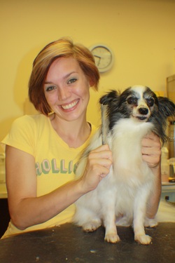 Professional Dog Groomers Montgomery