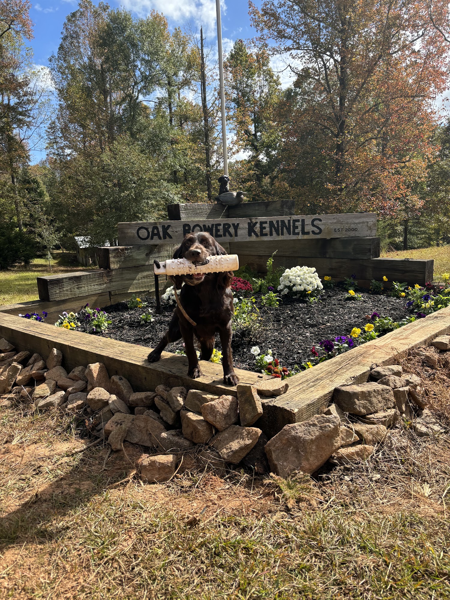 Oak Bowery Kennels Opelika