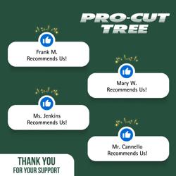ProCut Tree Service