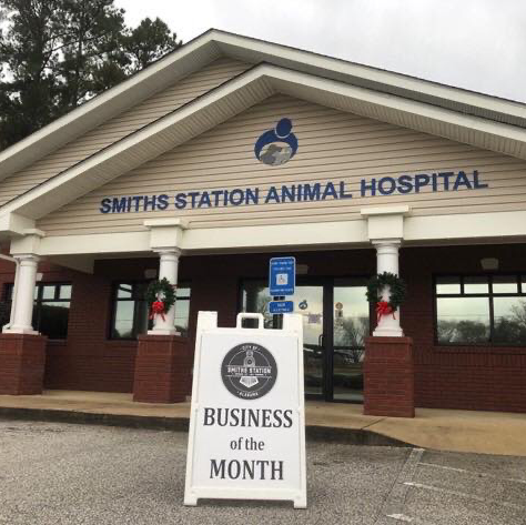 Smiths Station Animal Hospital: Dr. Steve Griffin