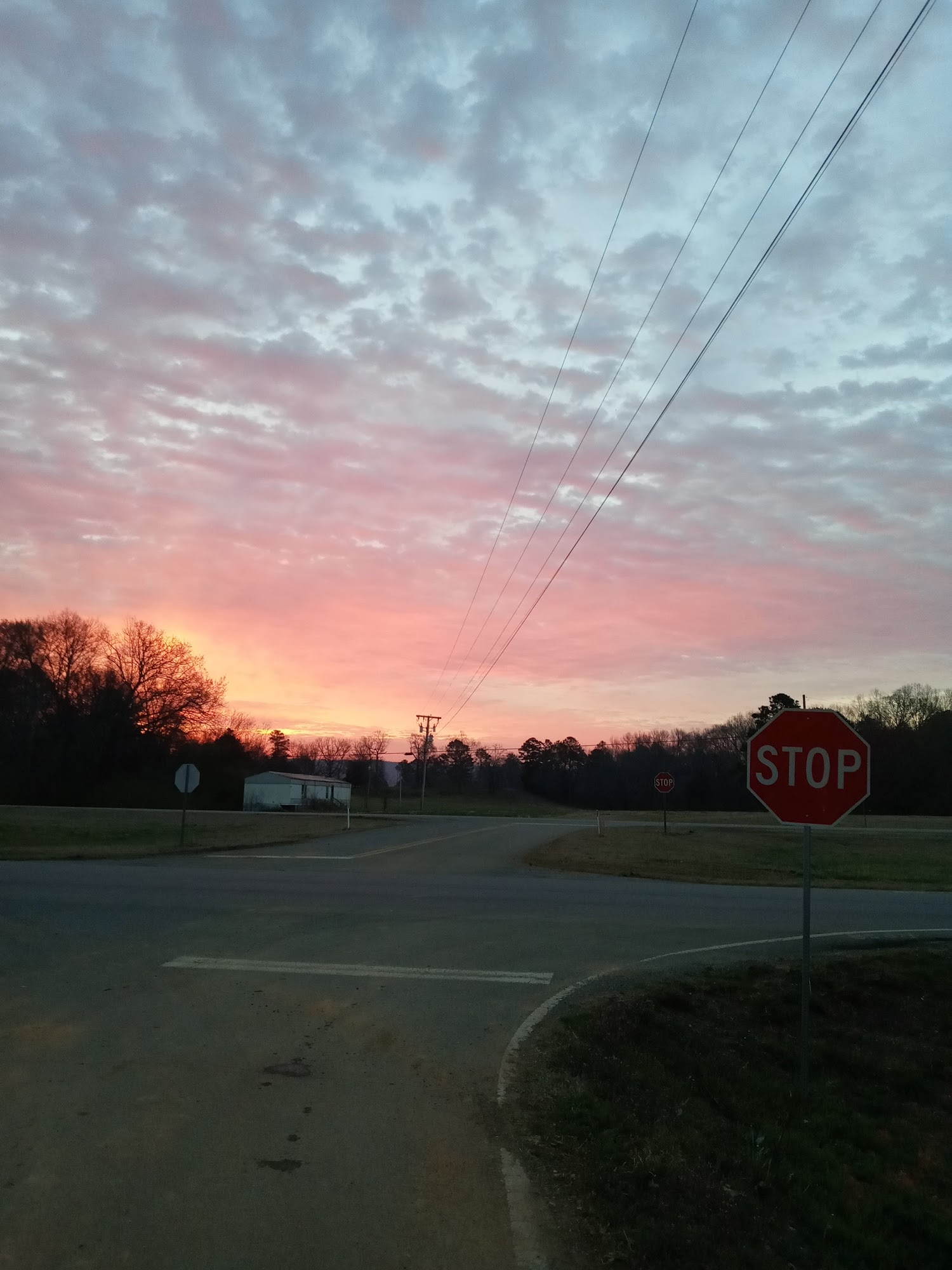 Mud Creek Veterinary Services: Elliott Scott DVM Stevenson