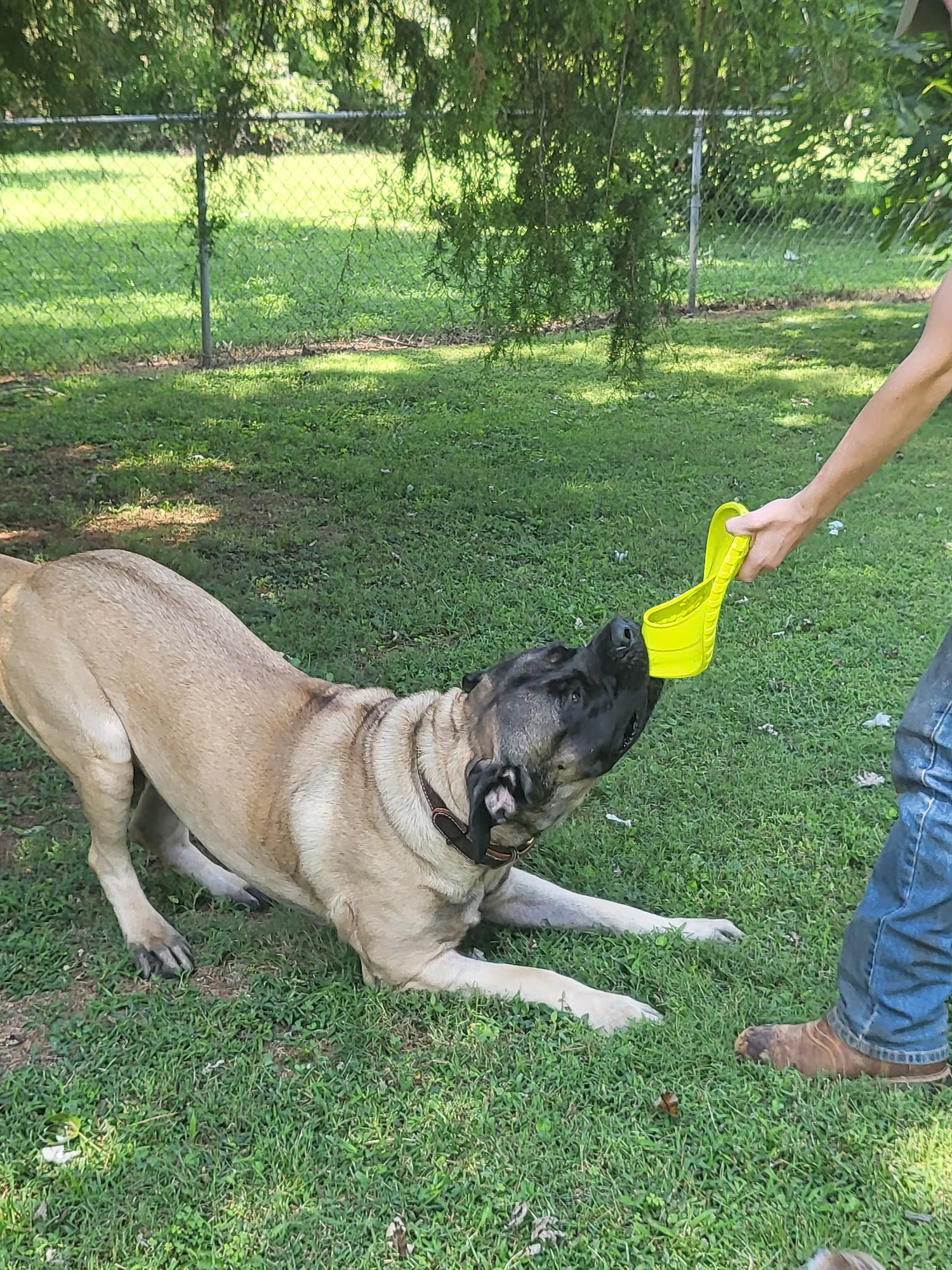 Off the Chain Training & Rescue powered by OTC Pet-homing Corp.