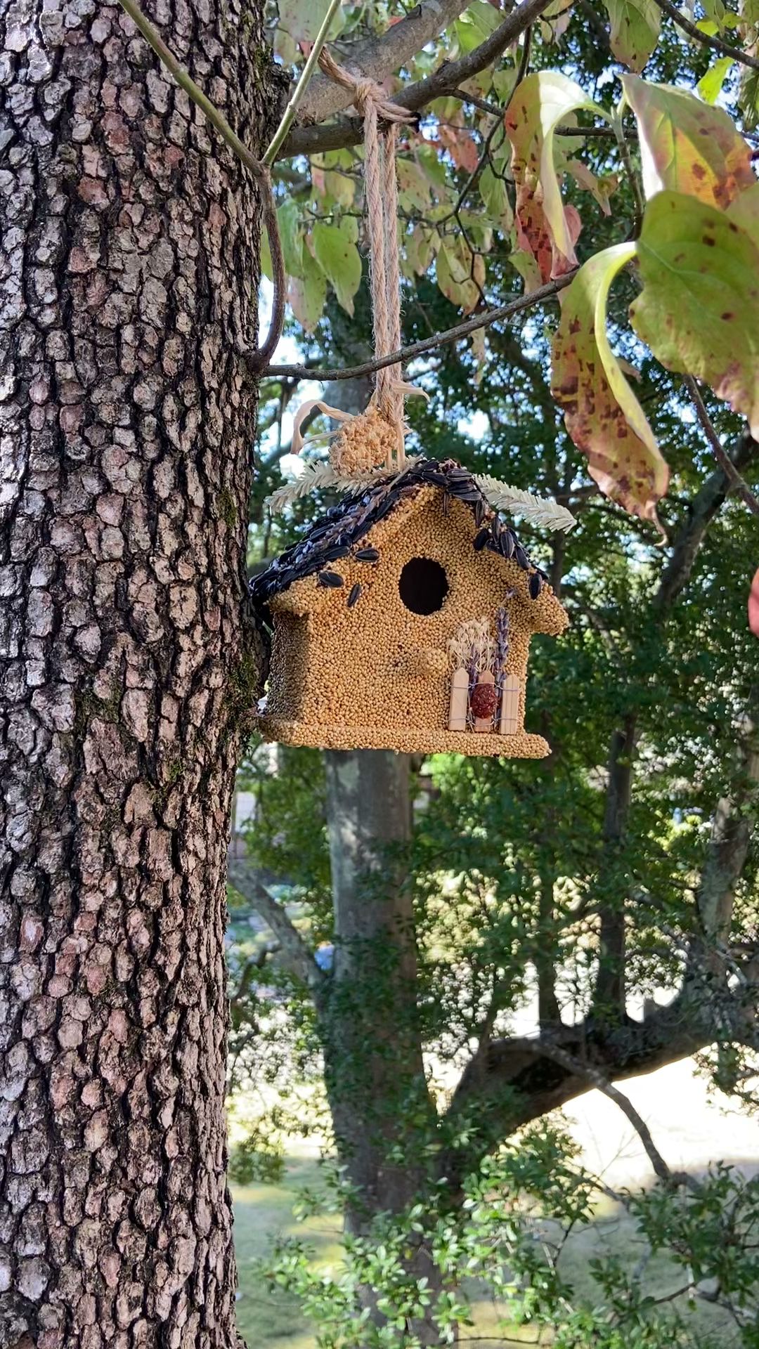 Andy's Creekside Nursery