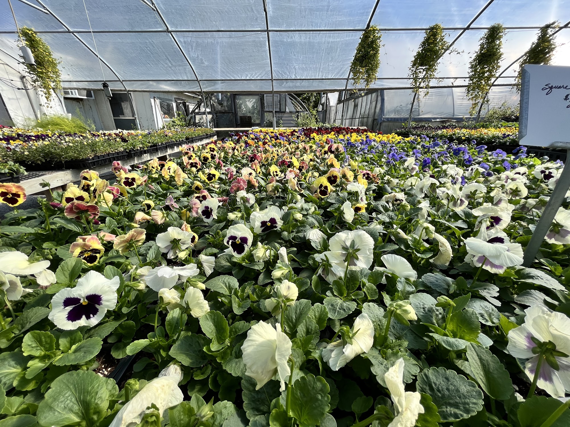 Matkins Flowers & Greenhouse