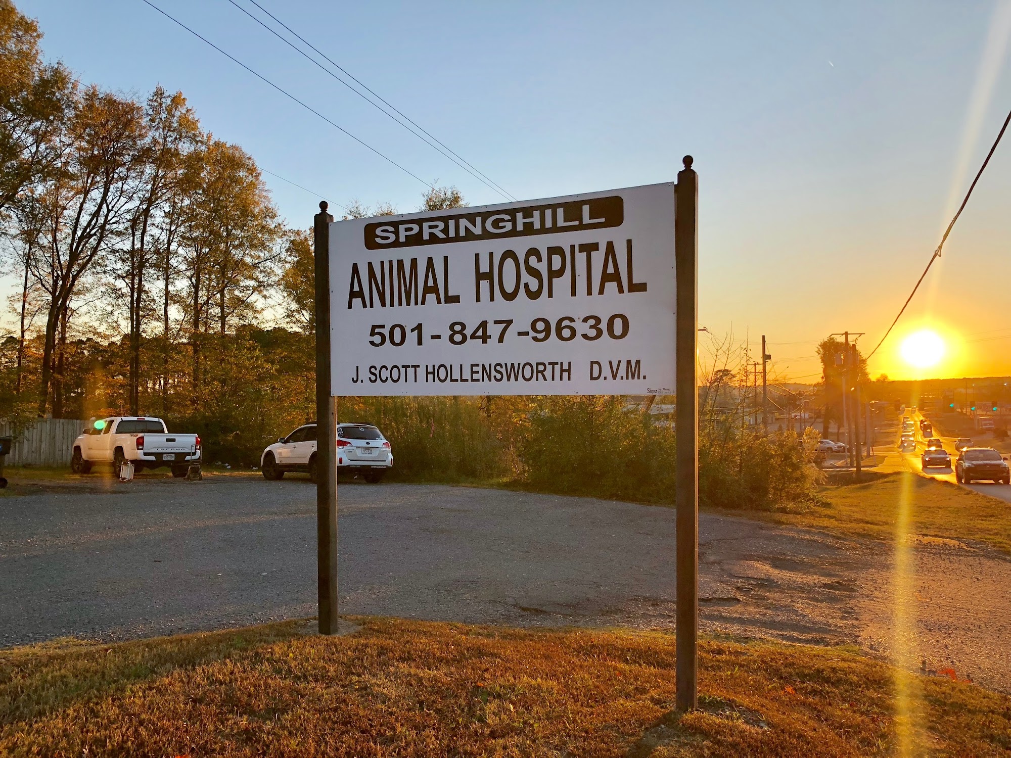 Springhill Animal Hospital