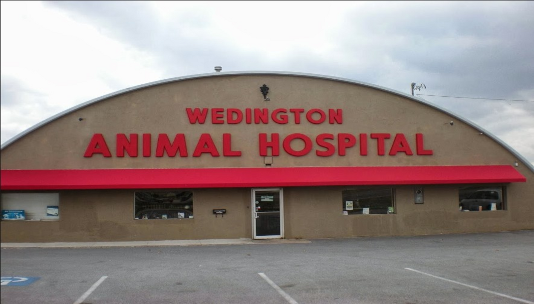 Wedington Animal Hospital