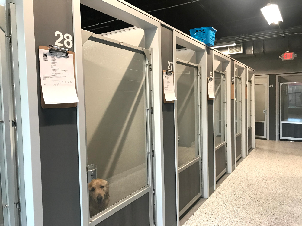 Hounds Lounge Pet Resort and Spa - Fayetteville Fayetteville