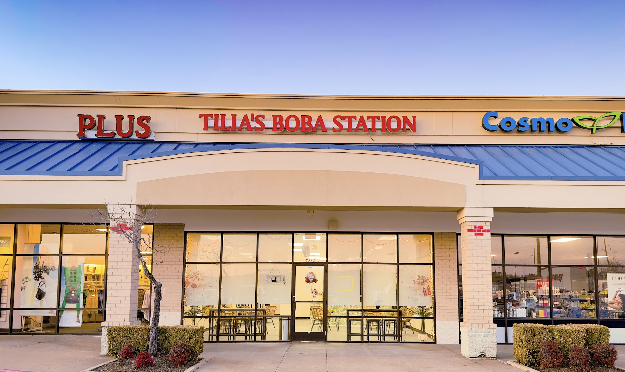 Tilia's Boba Station