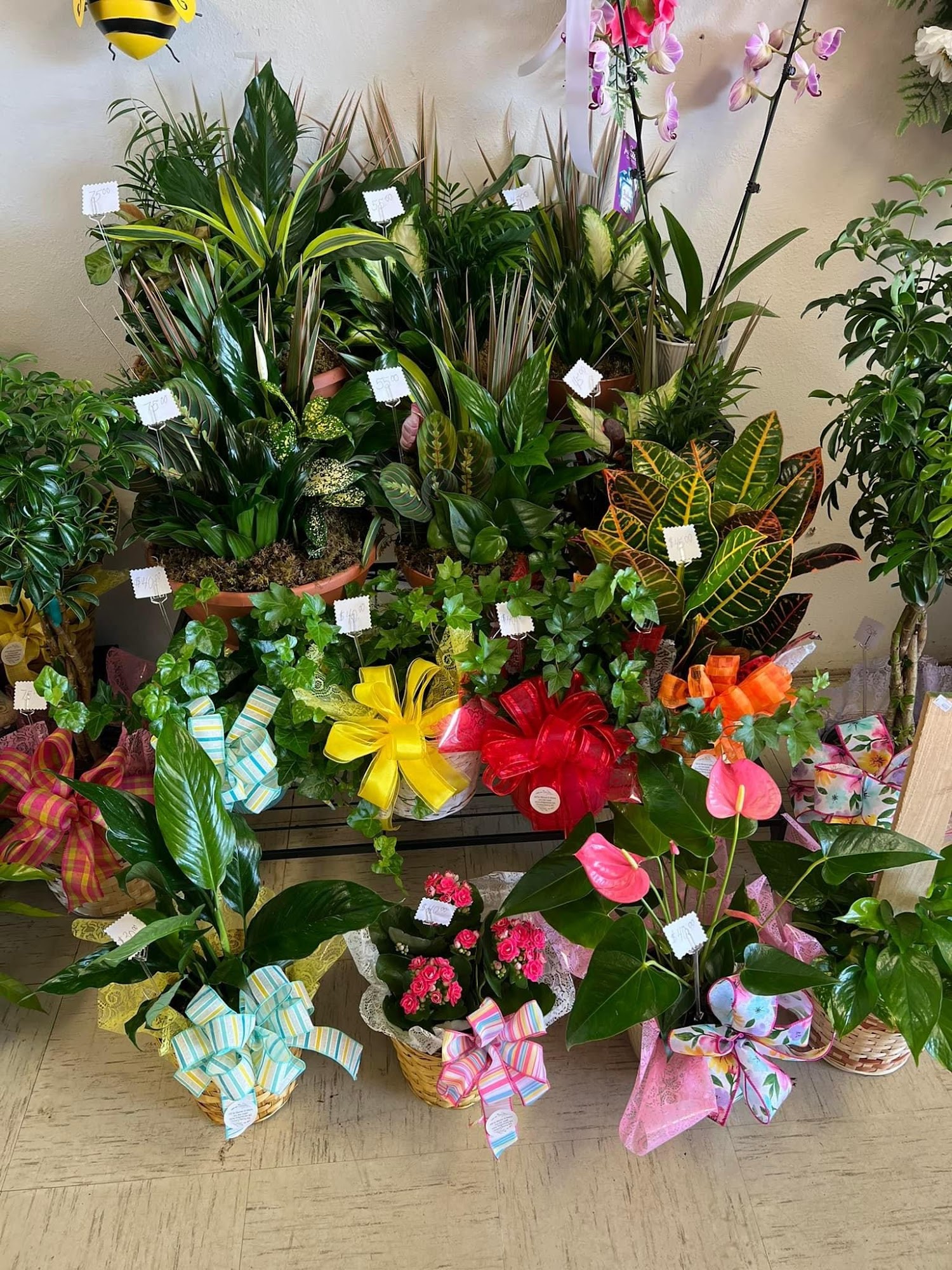 All In Bloom & More Florist 8379 Edgemont Rd, Greers Ferry Arkansas 72067