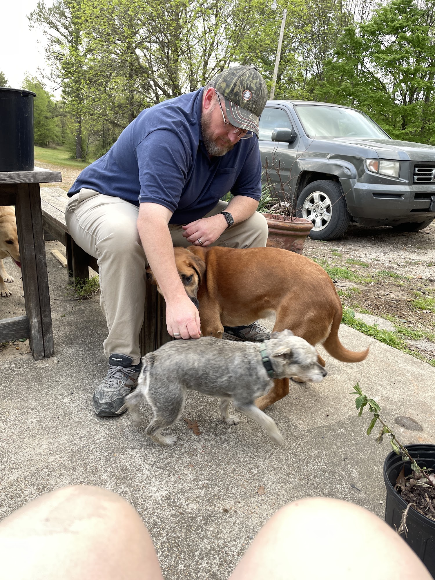 Harrisburg Veterinary Clinic 1103 N Illinois Ave A, Harrisburg Arkansas 72432