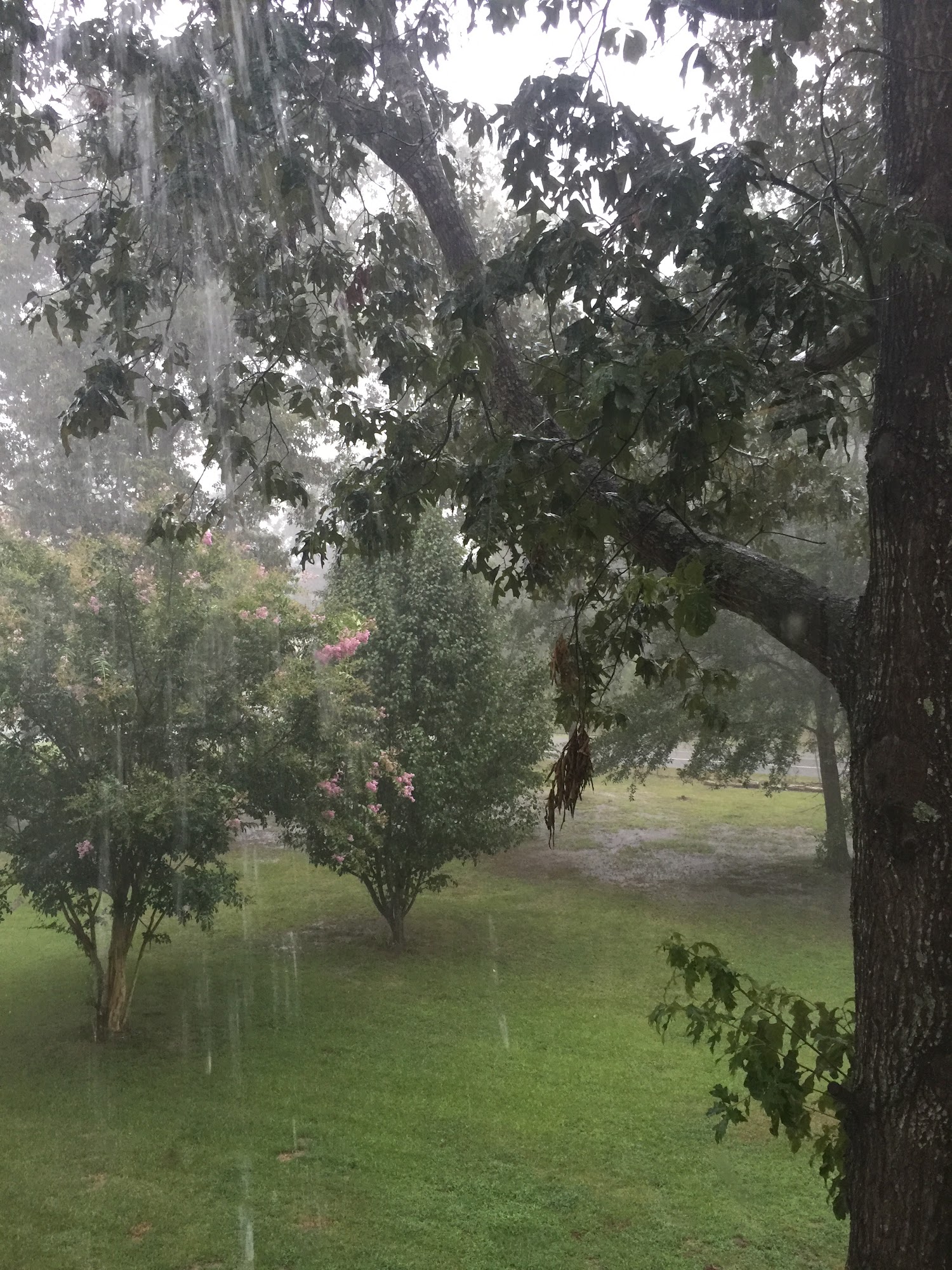 Nature Land Pet Resort Hensley