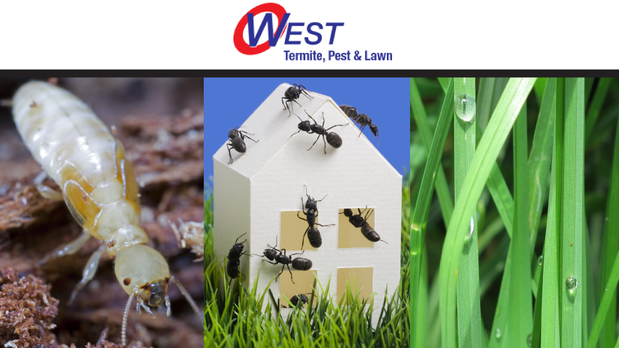 West Termite, Pest & Lawn 810 Spring Creek Rd, Lowell Arkansas 72745